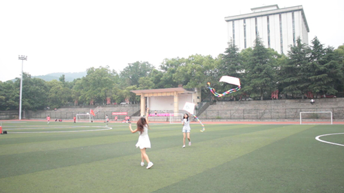 m1495299277473370.jpg 风筝1.jpg